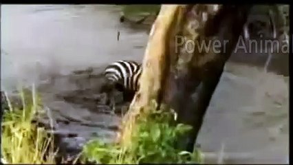 순창출장안마 -후불1ØØ%ョOiOE2997E5327｛카톡QR091｝ 순창전지역출장마사지 순창오피걸 순창출장안마 순창출장마사지 순창출장안마 순창출장콜걸샵안마 순창출장아로마 순창출장∡⾸◣