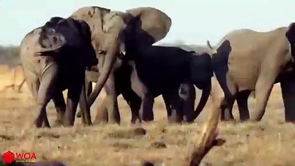 사상출장안마 -후불100%ョØ7ØE7575E0054｛카톡USA16｝  사상전지역출장안마 사상오피걸 사상출장마사지 사상안마 사상출장마사지 사상콜걸샵㌽㌲⻗