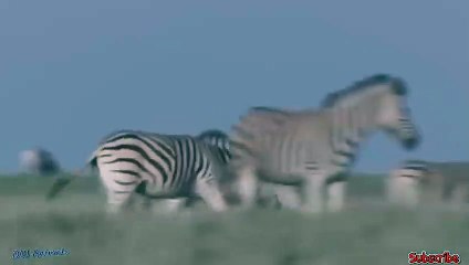 사상출장안마 -후불100%ョØ7ØM7575M0062｛카톡DDR88｝  사상전지역출장안마 사상오피걸 사상출장마사지 사상안마 사상출장마사지 사상콜걸샵㌑⺵㌙