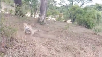 해남출장안마 -후불1ØØ%ョO7OV5222V6739｛카톡ZF66｝ 해남전지역출장마사지 해남오피걸 해남출장안마 해남출장마사지 해남출장안마 해남출장콜걸샵안마 해남출장아로마해남출장샵⾬ゆ⾴