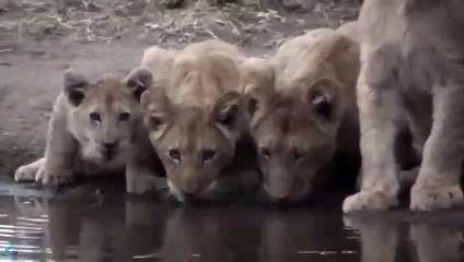 금정출장안마 -후불1ØØ%ョO7OV5222V6739｛카톡CS69｝ 금정전지역출장마사지 금정오피걸 금정출장안마 금정출장마사지 금정출장안마 금정출장콜걸샵안마 금정출장아로마금정출장샵ほ◞㌺