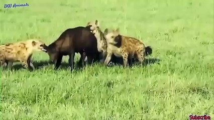 동대문출장안마 -후불100%ョØ1ØM2997M5327｛카톡KC789｝  동대문전지역출장안마 동대문오피걸 동대문출장마사지 동대문안마 동대문출장마사지 동대문콜걸샵㌭⾥≌