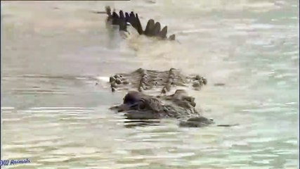 유성지구출장안마 -후불100%ョØ7ØM7575M0062｛카톡DDR88｝  유성지구전지역출장안마 유성지구오피걸 유성지구출장마사지 유성지구안마 유성지구출장마사지 유성지구콜걸샵◨≪を