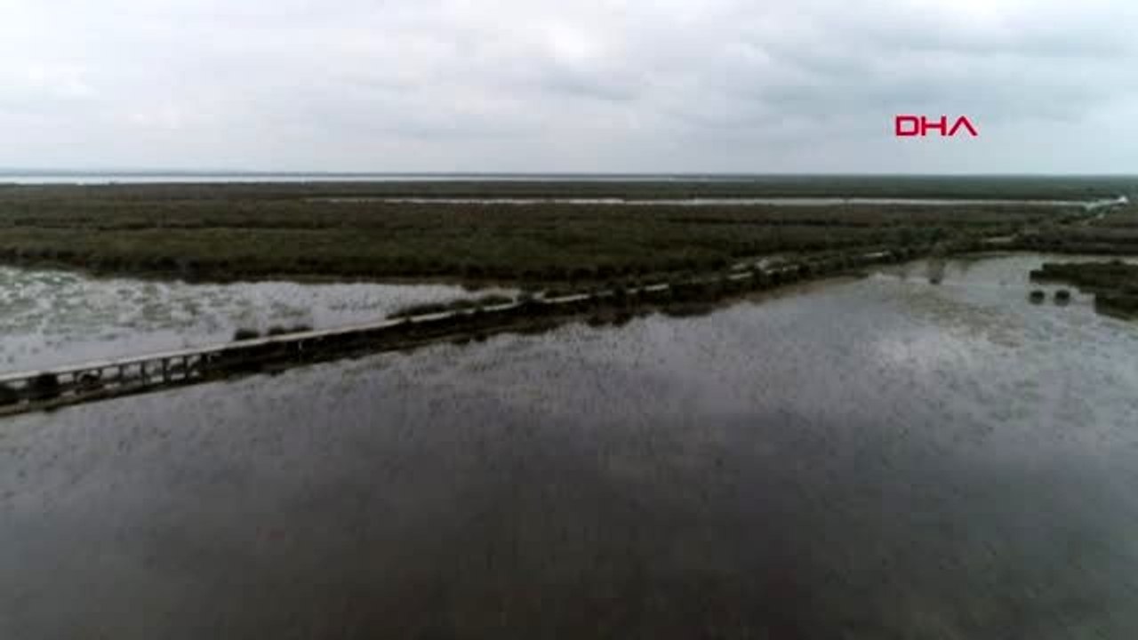 SAMSUN Kızılırmak Deltası UNESCO sürecine hazırlanıyor