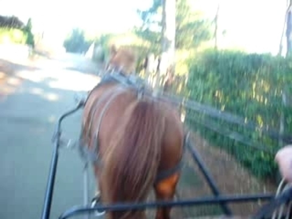 Petit trot dans Port Manech