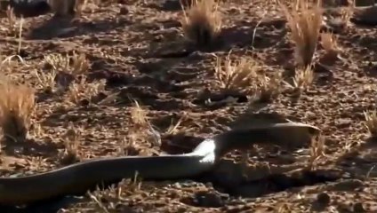 사상출장안마 -후불100%ョOiOE7685E6221｛카톡PP888｝  사상전지역출장안마 사상오피걸 사상출장마사지 사상안마 사상출장마사지 사상콜걸샵∞⻗㌪