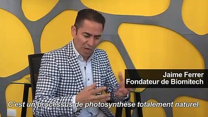 Mexico installe des 'arbres robots' contre la pollution