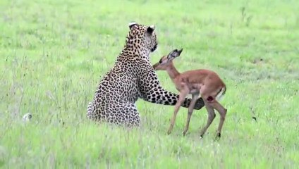 도봉출장안마 -후불1ØØ%ョØ7ØE7575E0054｛카톡USA16｝ 도봉전지역출장마사지 도봉오피걸 도봉출장안마 도봉출장마사지 도봉출장안마 도봉출장콜걸샵안마 도봉출장아로마 도봉출장㍎㌬≠