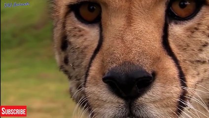 중구출장안마 -후불100%ョO7OV7333V9649｛카톡LA666｝  중구전지역출장안마 중구오피걸 중구출장마사지 중구안마 중구출장마사지 중구콜걸샵ぜ∸≴