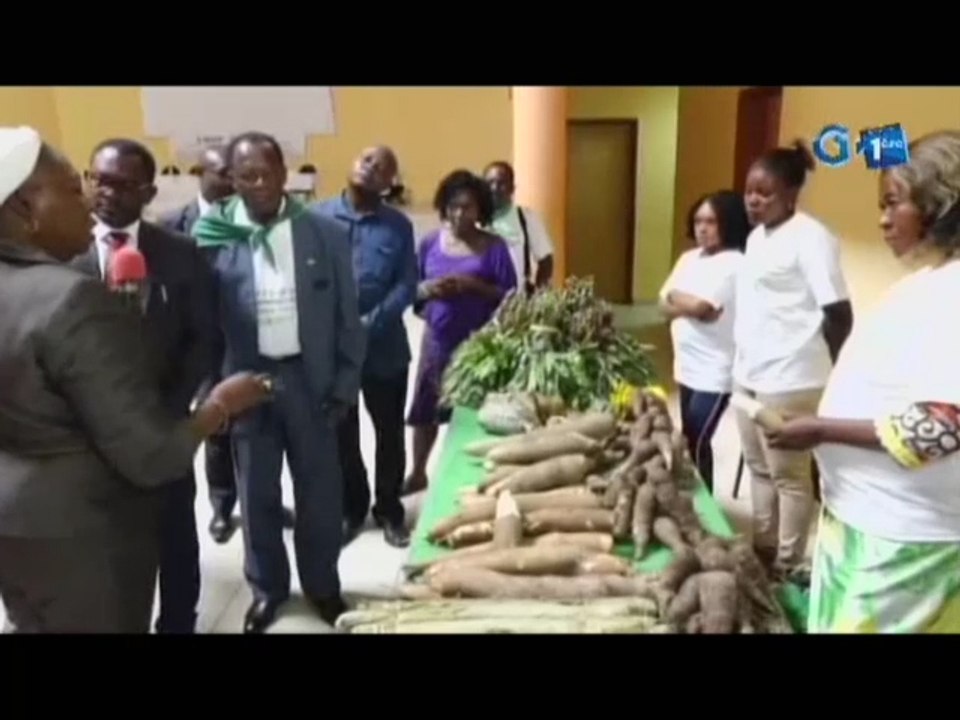 RTG/Découverte de plusieurs variétés de produits gabonais au festival agro-sylvo-pastoral et halieutique de Ntoum