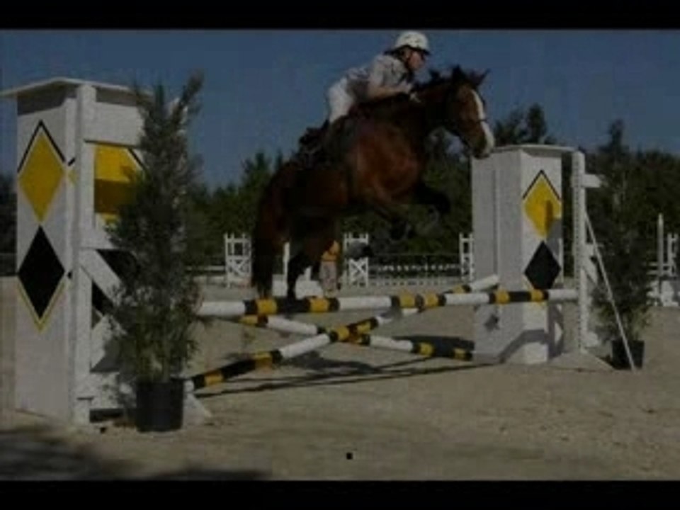 Hazel_0001