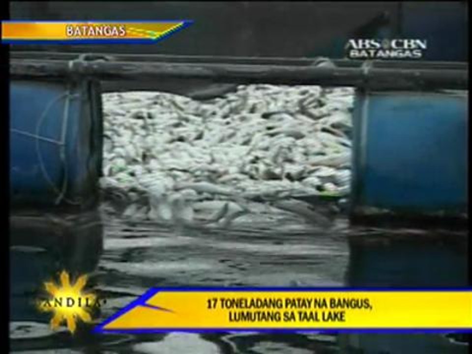 7 tons of dead fish in another Batangas fishkill