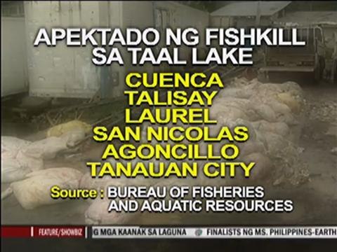 750 tons of fish hauled off in Batangas fishkill