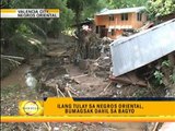 Floodwaters destroy Negros Oriental bridges