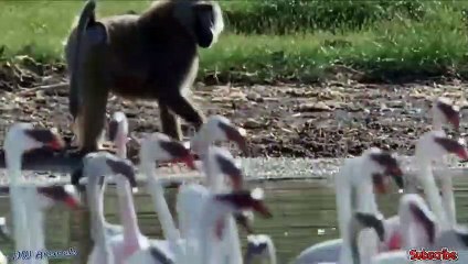 만안출장안마 -후불100%ョØ7ØM7575M0062｛카톡DDR88｝  만안전지역출장안마 만안오피걸 만안출장마사지 만안안마 만안출장마사지 만안콜걸샵◞⾲≕