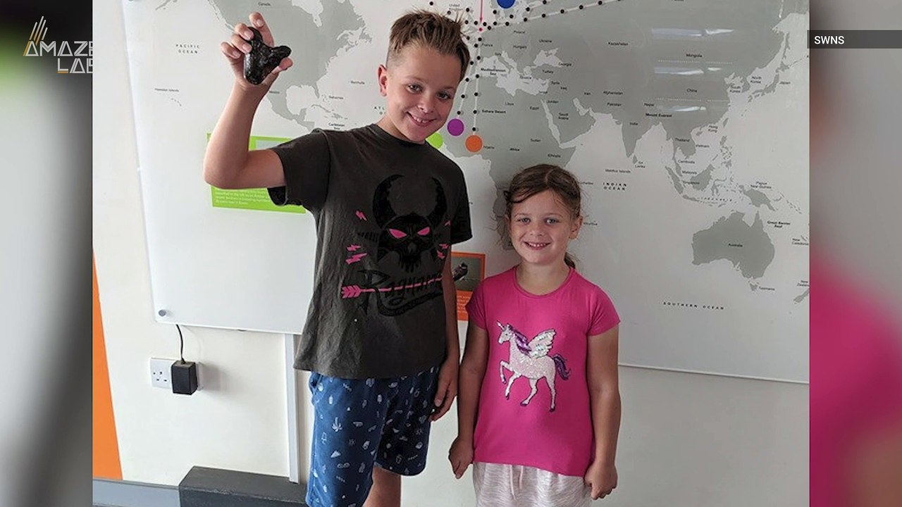 Kid Fossil Hunters Discover Rare Megalodon Shark Tooth