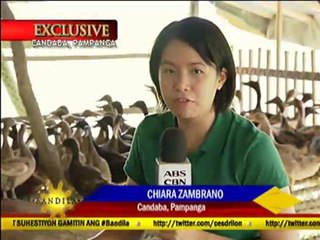 DA closely monitoring migratory birds