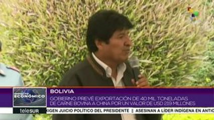 Bolivia prevé exportar 40 mil toneladas de carne bovina a China
