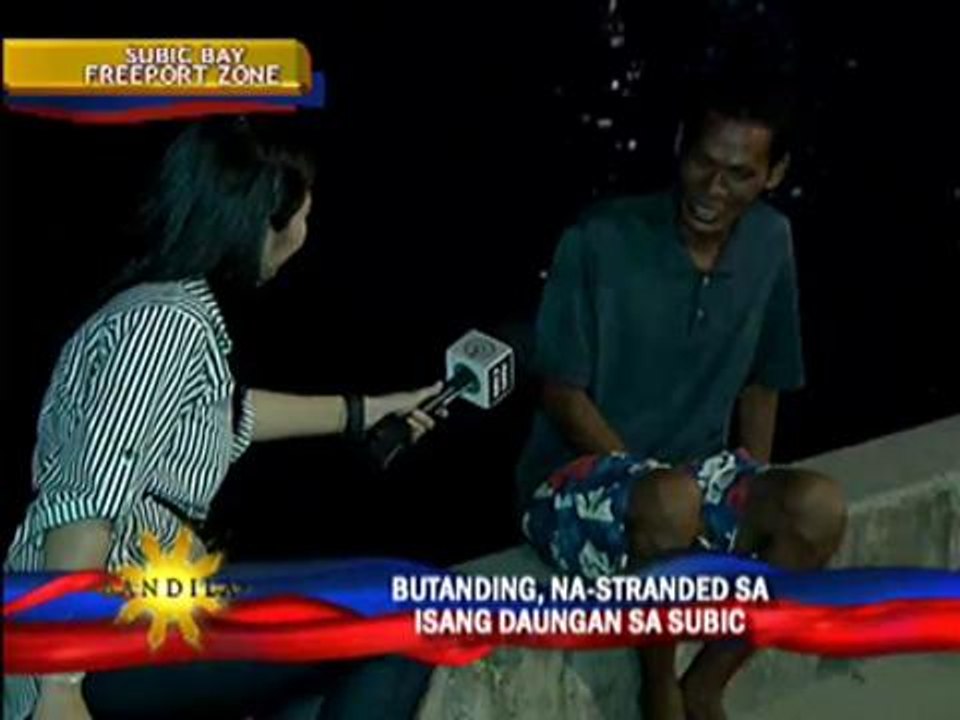 Whale shark stranded in Subic