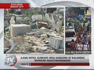 Tombs collapse; coffins, skeletons left scattered