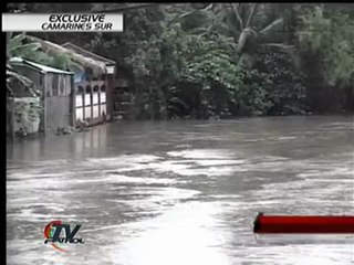 Falcon' hits CamSur
