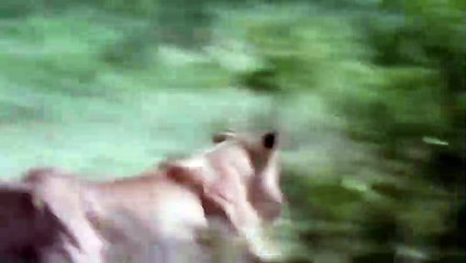 장안출장안마 -후불1ØØ%ョØ7ØE7575E0062｛카톡DK654｝ 장안전지역출장마사지 장안오피걸 장안출장안마 장안출장마사지 장안출장안마 장안출장콜걸샵안마 장안출장아로마장안출장샵㌰ぬ≍