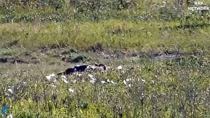 안동출장안마 -후불1ØØ%ョØ7ØM7575M0069｛카톡CC6969｝ 안동전지역출장마사지 안동오피걸 안동출장안마 안동출장마사지 안동출장안마 안동출장콜걸샵안마 안동출장아로마안동출장샵≄◭ゅ