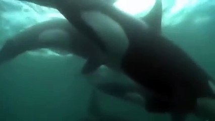 건대역출장안마 -후불1ØØ%ョØ7ØE7575E0054｛카톡GD825｝ 건대역전지역출장마사지 건대역오피걸 건대역출장안마 건대역출장마사지 건대역출장안마 건대역출장콜걸샵안마 건대역출장아로마 건대역출장◤≗⾩