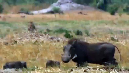 태종대출장안마 -후불1ØØ%ョOiOV2671V8135｛카톡ZHF526｝ 태종대전지역출장마사지 태종대오피걸 태종대출장안마 태종대출장마사지 태종대출장안마 태종대출장콜걸샵안마 태종대출장아로마 태종대출장∋㌙て