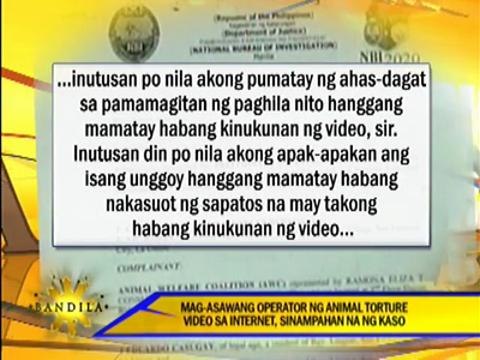 EXCL: Couple behind 'crush video' tagged by authorities