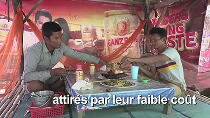 Le rat en brochette, un mets fin de Battambang au Cambodge