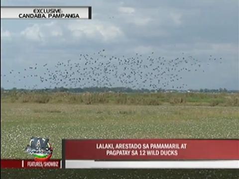 EXCL: Man arrested for shooting wild ducks