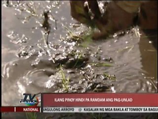 PNoy and the economy, one year on