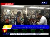 Pacquiao KOs sparring partner again
