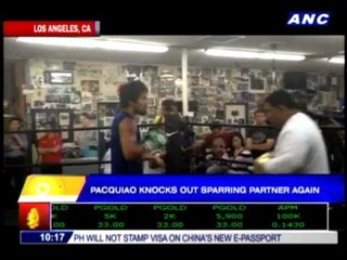 Pacquiao KOs sparring partner again
