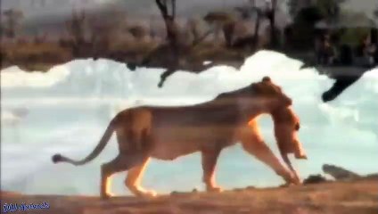 회현동출장안마 -후불100%ョØ1ØM7685M6221｛카톡USA51｝  회현동전지역출장안마 회현동오피걸 회현동출장마사지 회현동안마 회현동출장마사지 회현동콜걸샵づょ㌾