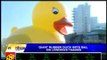 Giant rubber duck sets sail on London's Thames