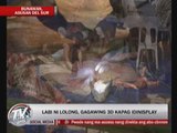 How Lolong's remains will be preserved