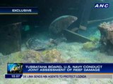 Dead corals spotted as Tubbataha Reef damage reaches 4,100sqm