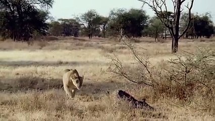 봉화출장안마 -후불1ØØ%ョO7OV5222V6739｛카톡CS69｝ 봉화전지역출장마사지 봉화오피걸 봉화출장안마 봉화출장마사지 봉화출장안마 봉화출장콜걸샵안마 봉화출장아로마 봉화출장∭⻙≭