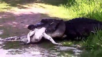 회현동출장안마 -후불1ØØ%ョØ1ØM2997M5327｛카톡USA59｝ 회현동전지역출장마사지 회현동오피걸 회현동출장안마 회현동출장마사지 회현동출장안마 회현동출장콜걸샵안마 회현동출장아로마 회현동출장⻢㌻⾦