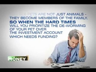 Salve Says: Affording a Pet