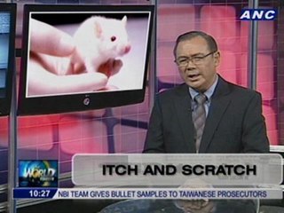 Teditorial: Itch and Scratch