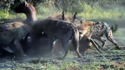 울주출장안마 -후불100%ョO7OW7333W9649｛카톡LA666｝  울주전지역출장안마 울주오피걸 울주출장마사지 울주안마 울주출장마사지 울주콜걸샵∮◯≌