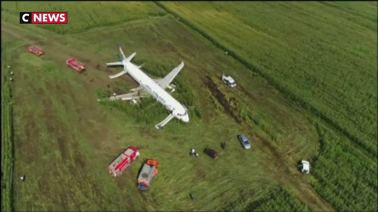 Un avion atterrit en urgence dans un champ de maïs en Russie