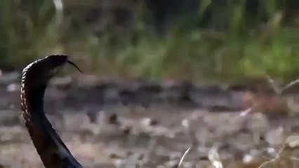 서원출장안마 -후불1ØØ%ョØ7ØM7575M0062｛카톡DDR88｝ 서원전지역출장마사지 서원오피걸 서원출장안마 서원출장마사지 서원출장안마 서원출장콜걸샵안마 서원출장아로마 서원출장㌿⻕∊