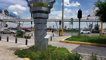 Mexican start-up fights air pollution with artificial trees