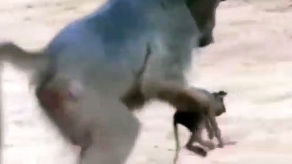 고양출장안마 -후불100%ョOiOE7685E6221｛카톡PP888｝  고양전지역출장안마 고양오피걸 고양출장마사지 고양안마 고양출장마사지 고양콜걸샵◮◒㌟