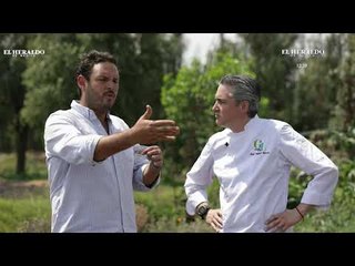 Tortilla y mezcal, dos alimentos extraordinarios