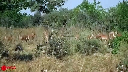 삼양출장안마 -후불100%ョOiOV2671V8135｛카톡ZHF526｝  삼양전지역출장안마 삼양오피걸 삼양출장마사지 삼양안마 삼양출장마사지 삼양콜걸샵⻚㌺≹